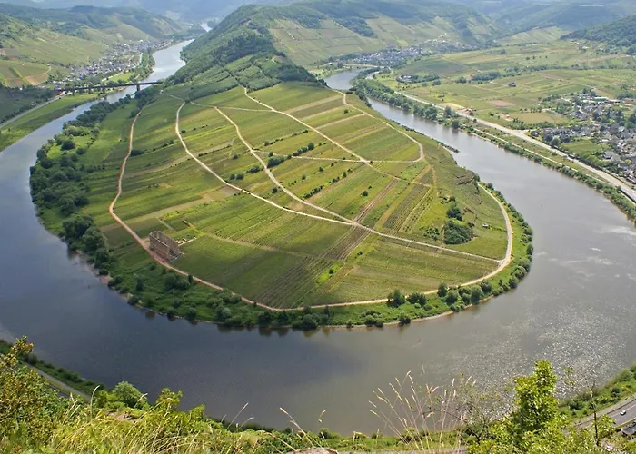 Moselblick Am Waldrand *