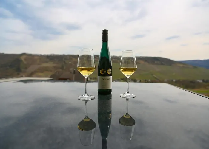 Moselblick Am Waldrand * Traben-Trarbach